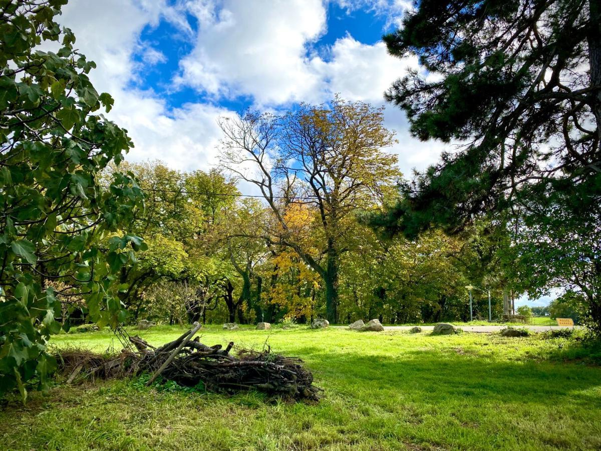 Gite De Corsas Saint-Victor  Экстерьер фото